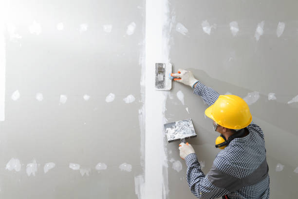 Best Asbestos and Lead Testing During Mold Inspection  in Torrington, WY
