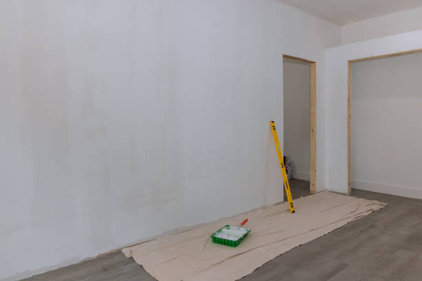Best Mold Documentation for Insurance Claims  in Torrington, WY