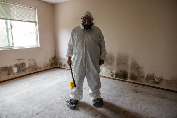 Best Mold Damage Restoration  in Torrington, WY